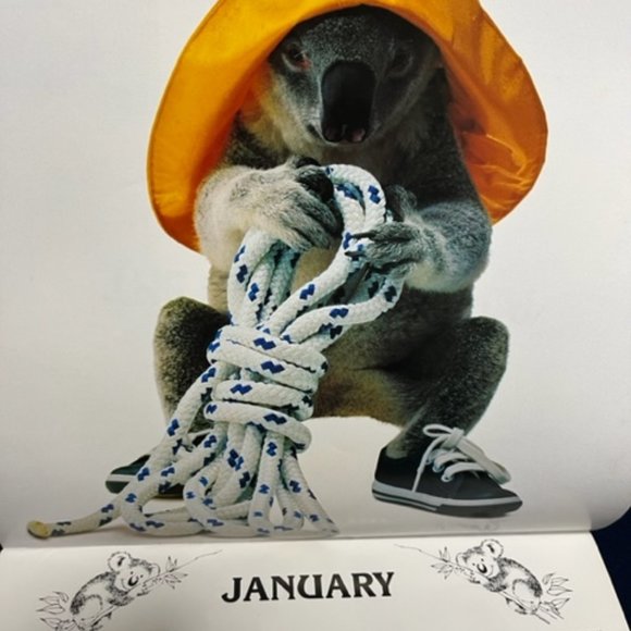 VTG "Sydney", the Qantas Koala Bear 1986 Calendar 12x12" - Picture 3 of 12
